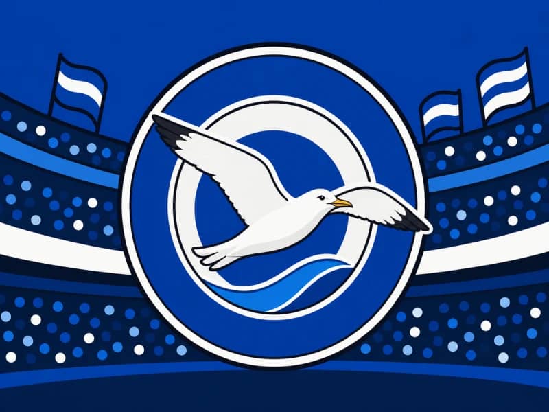 Brighton & Hove Albion category artwork — blue and white striped football theme
